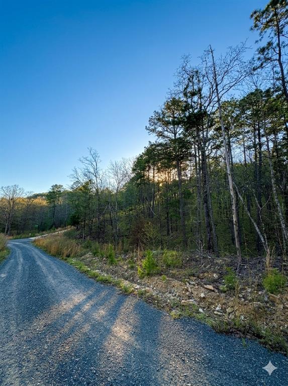 63 Western Cedar Trail