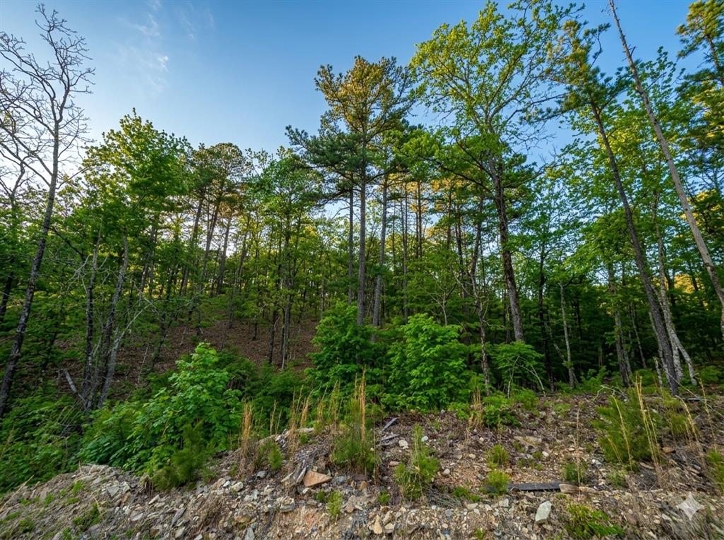 63 Western Cedar Trail