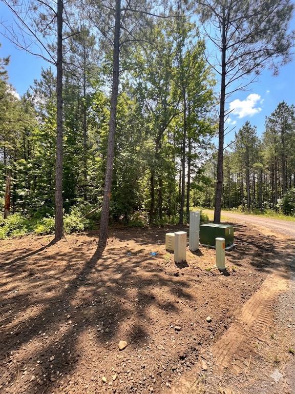 86 Southern Locust Trail