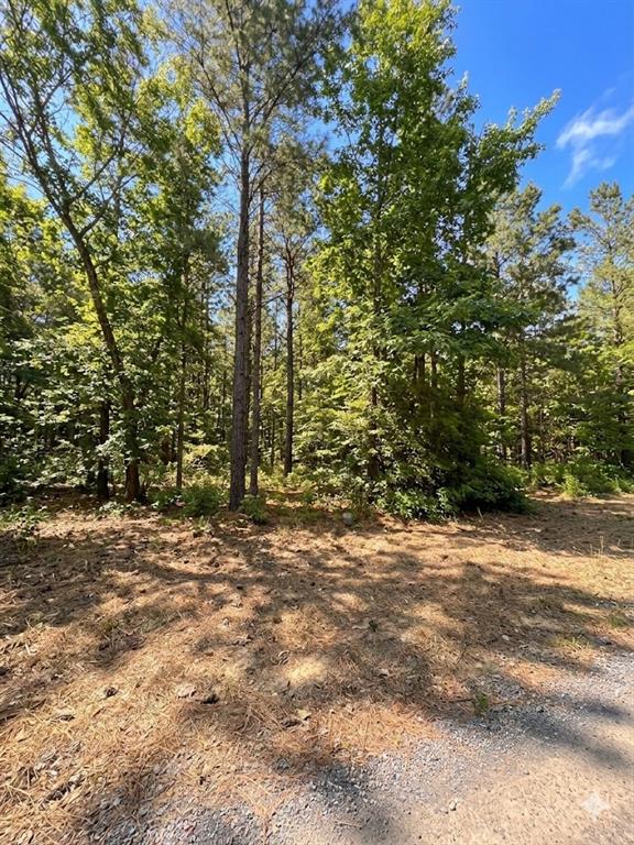 86 Southern Locust Trail