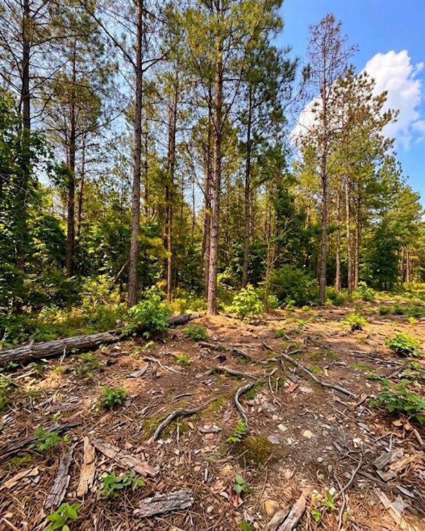 122 Southern Locust Trail