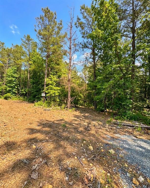 122 Southern Locust Trail