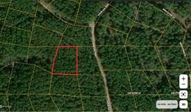 68 Southern Spruce Trail