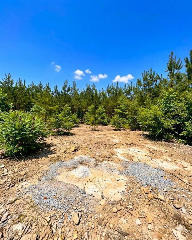 68 Southern Spruce Trail