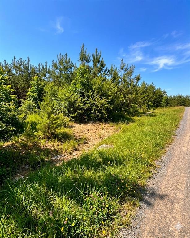 68 Southern Spruce Trail