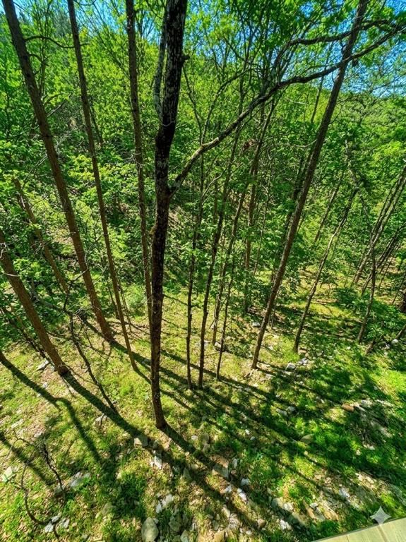 44 Winged Elm Circle