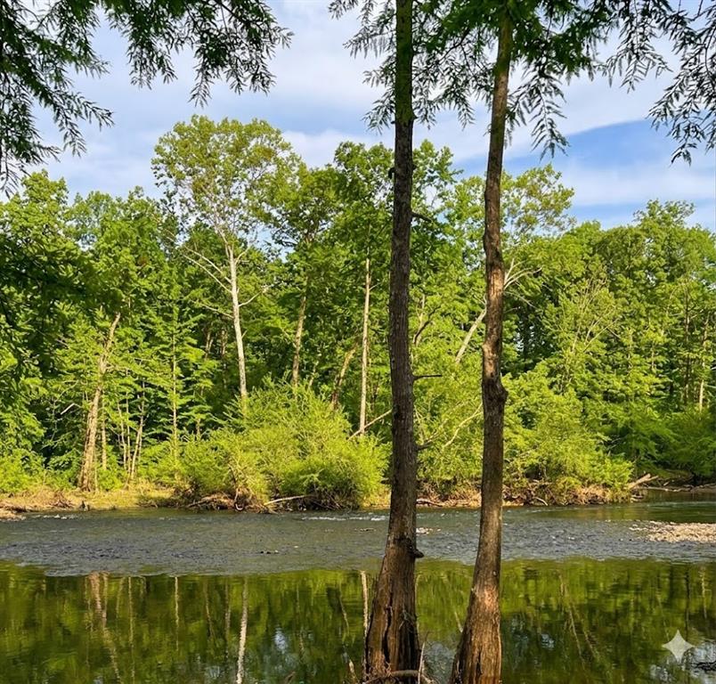 245 Green Mallard Trail