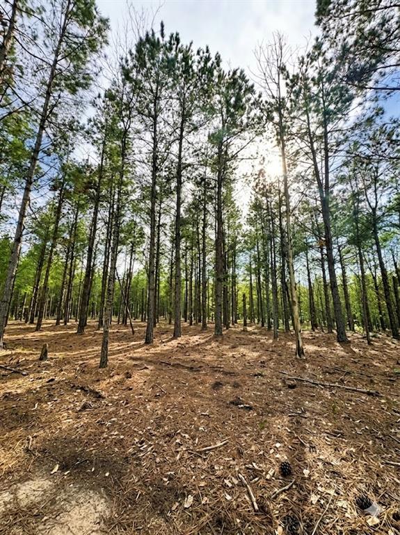 245 Green Mallard Trail