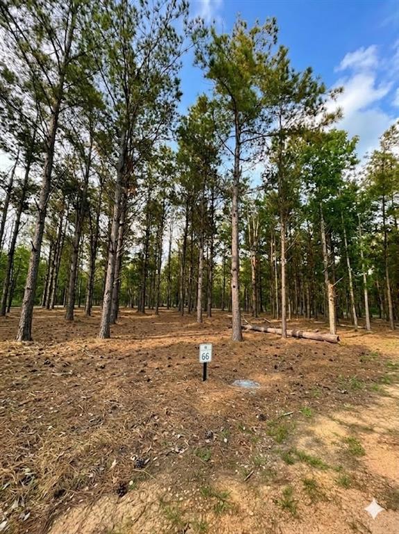 245 Green Mallard Trail