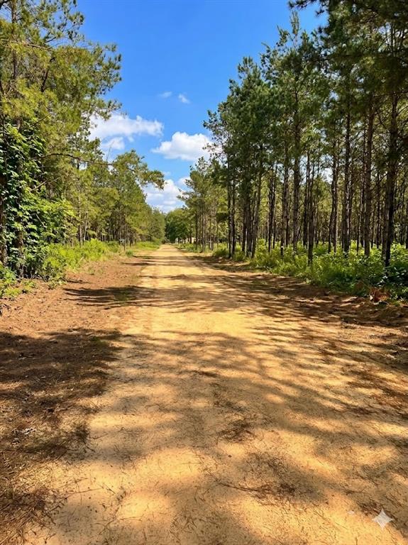 245 Green Mallard Trail