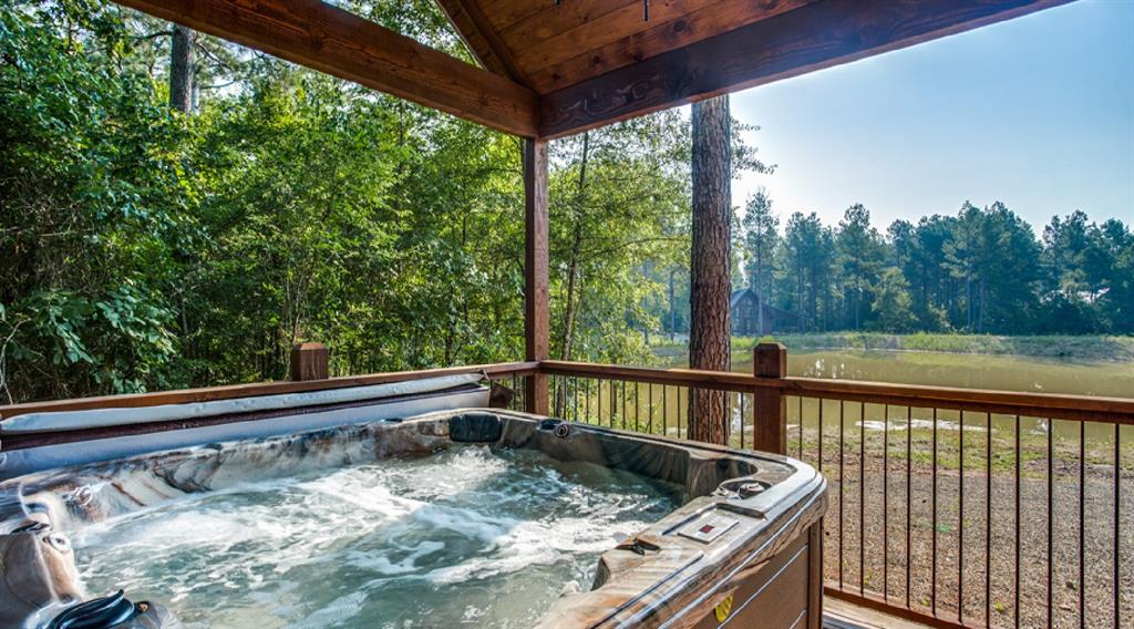 67 Sycamore Springs Lane