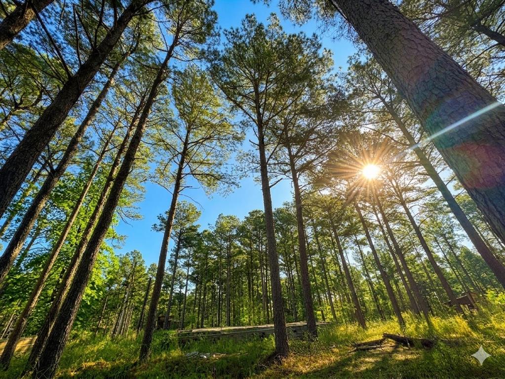 114 Alumacraft Trail