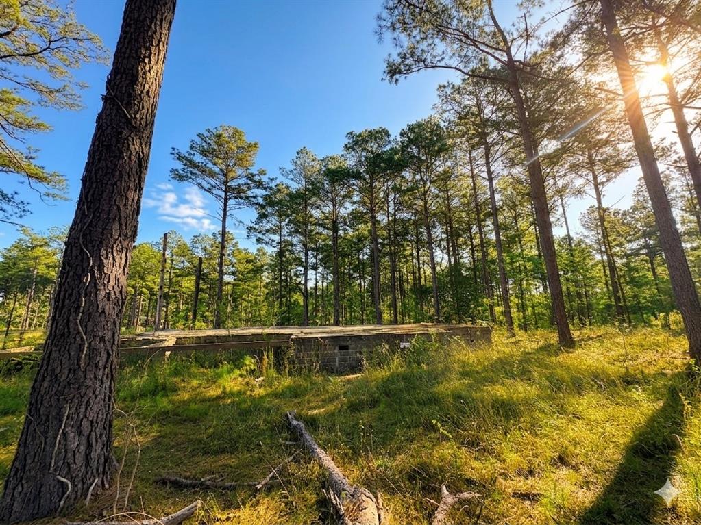 114 Alumacraft Trail