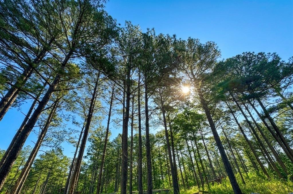 114 Alumacraft Trail