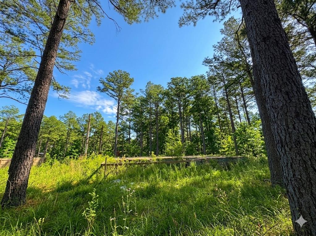 114 Alumacraft Trail