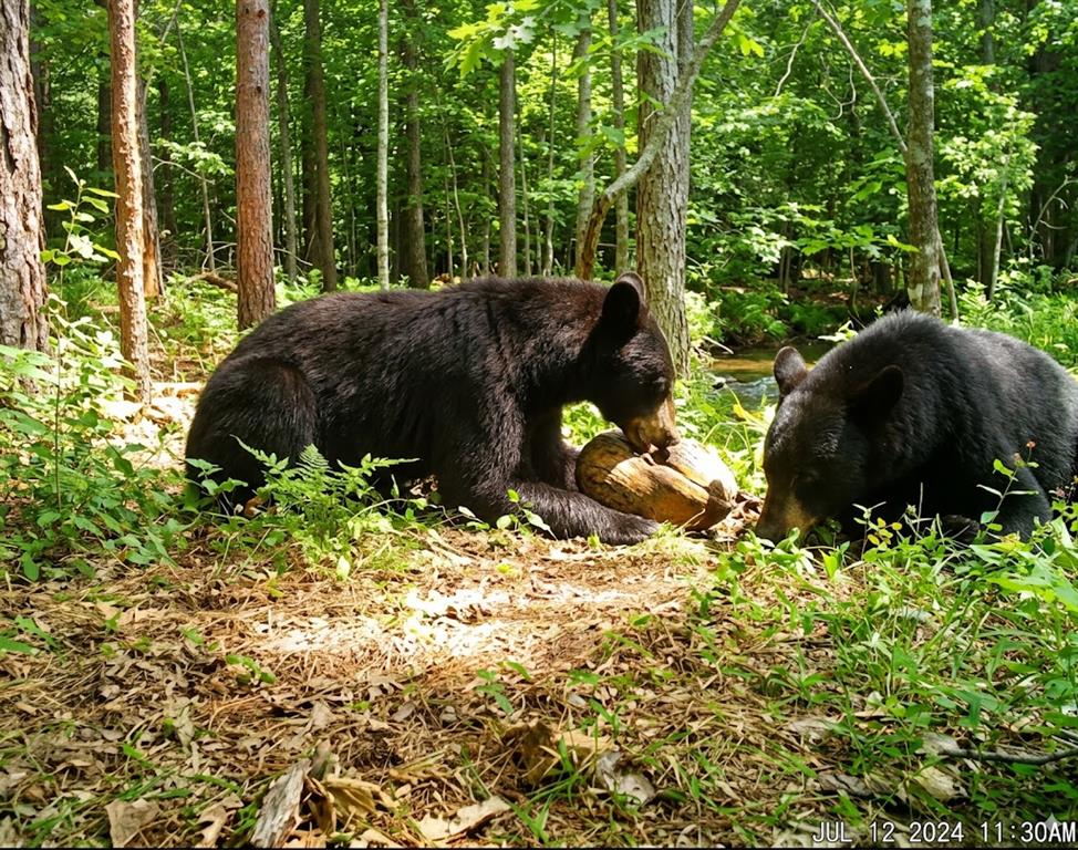 11222 SE HWY 2 Street