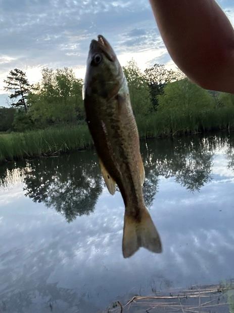 11222 SE HWY 2 Street