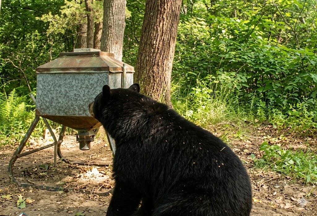 11222 SE HWY 2 Street