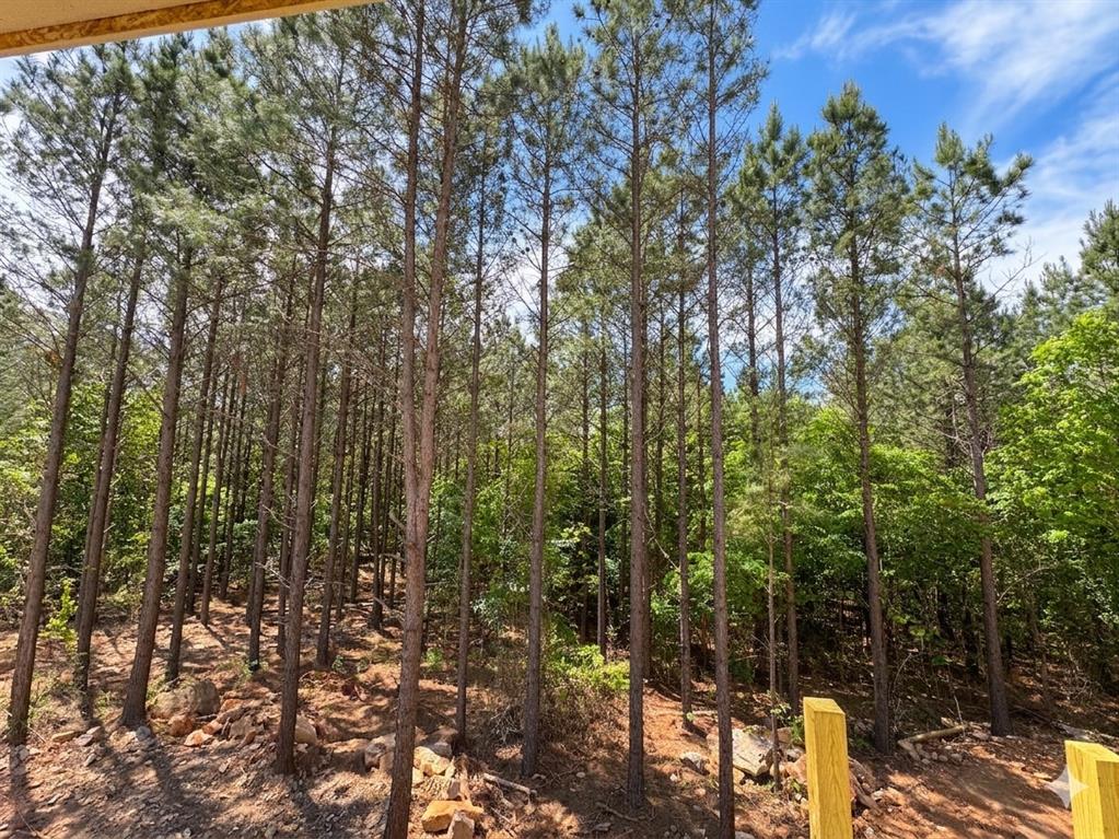 1275 Dawn View Way