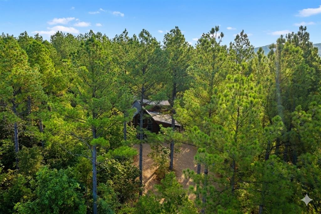 334 Carter Valley Lane