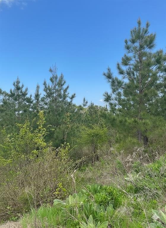 187 Sliding Hill Trail