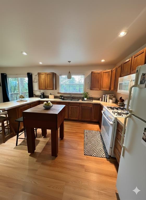 1106 Peninsula Drive