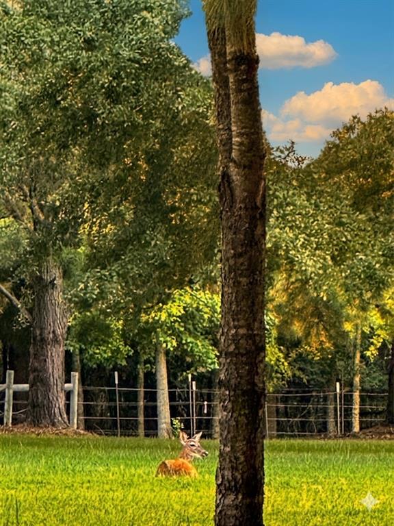 1106 Peninsula Drive