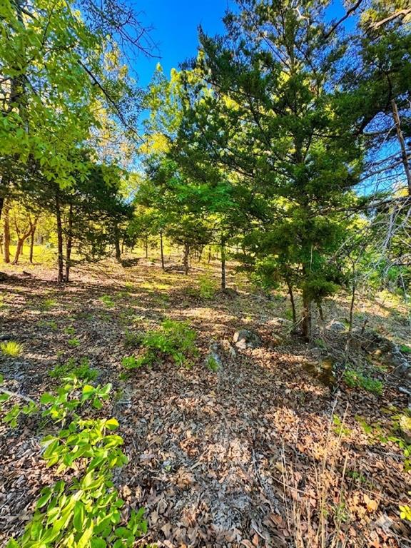 84 Patriot Pointe Lake