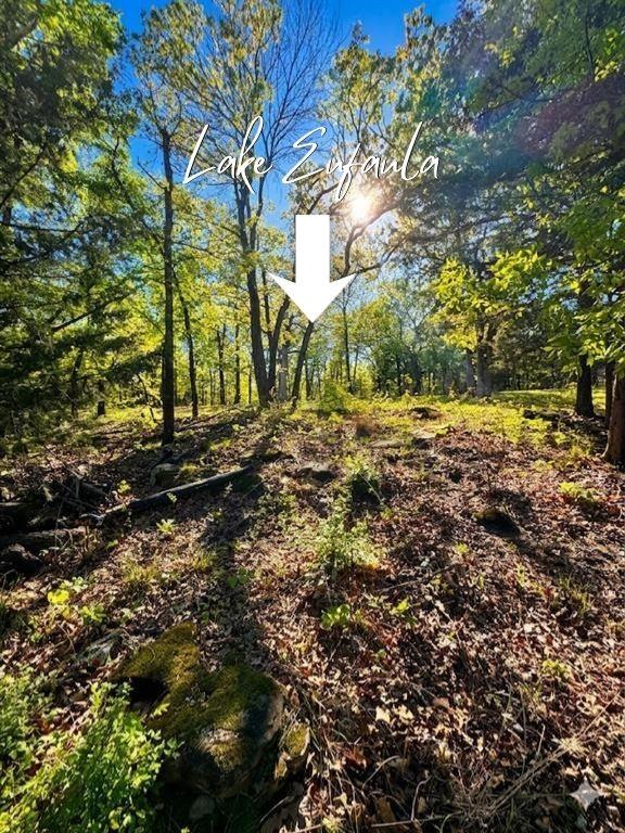 84 Patriot Pointe Lake