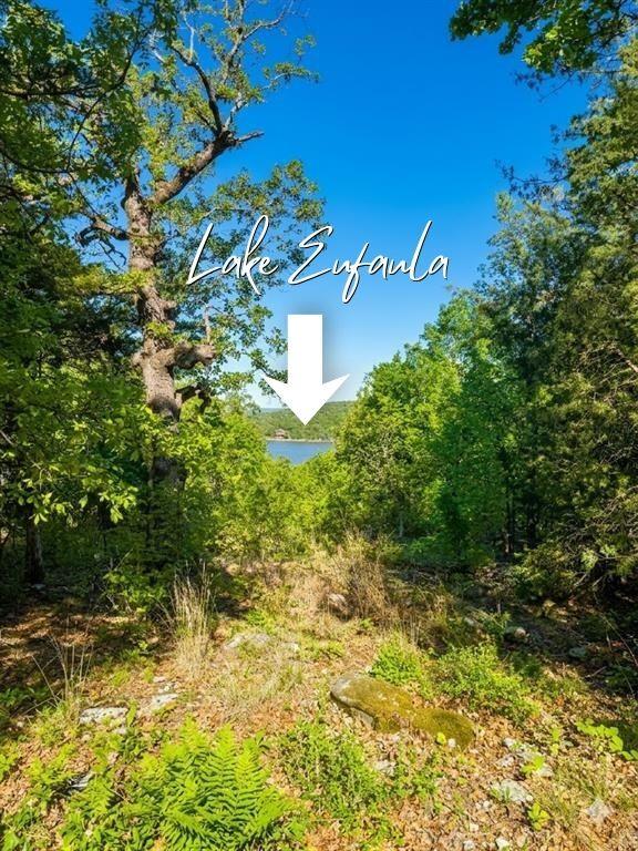 84 Patriot Pointe Lake