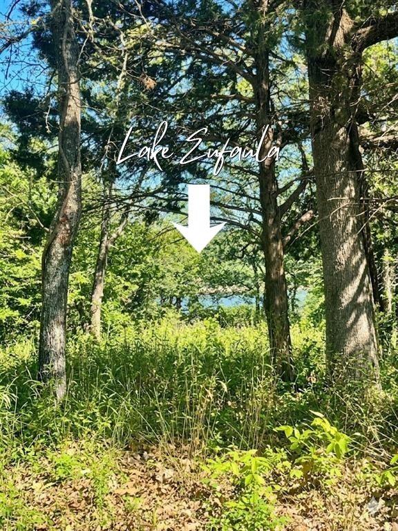 33 Patriot Pointe Lake