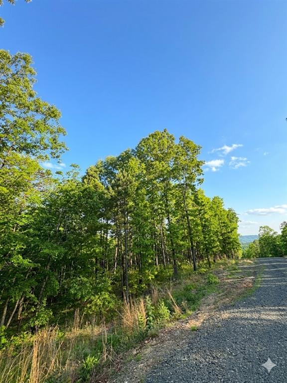 3 Vista Trail