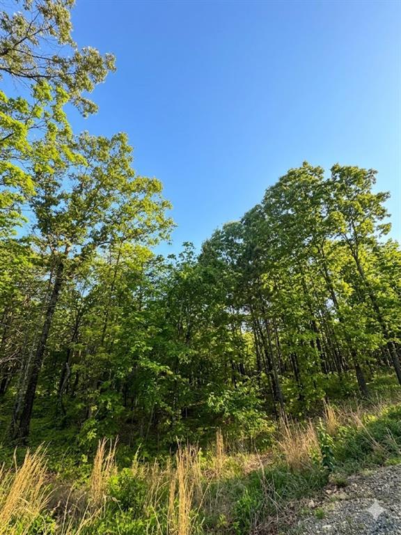 3 Vista Trail