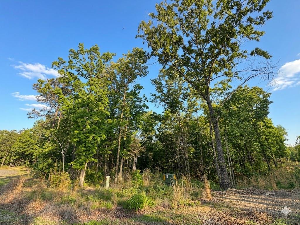 3 Vista Trail