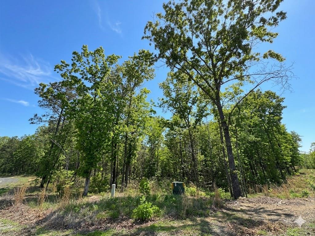 3 Vista Trail
