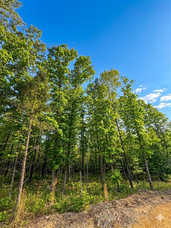 4 Vista Ridge Trail