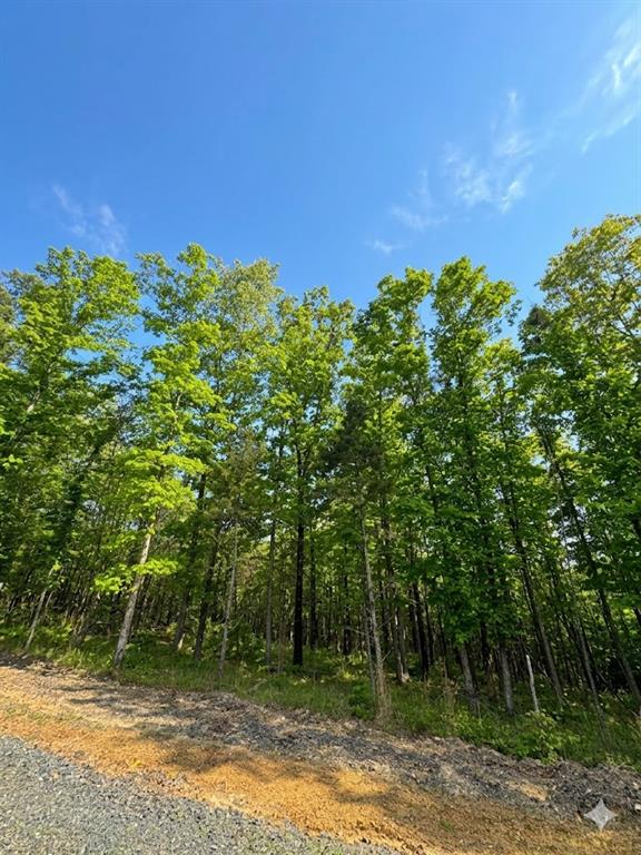 4 Vista Ridge Trail