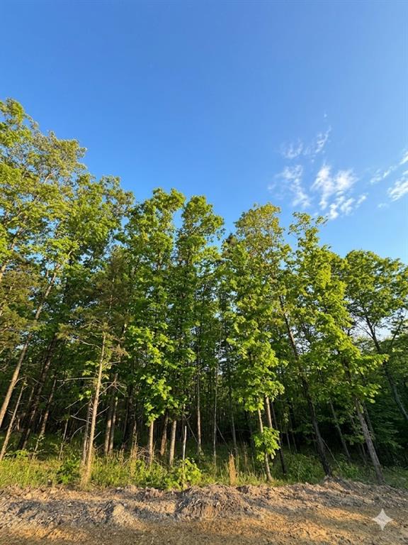 4 Vista Ridge Trail