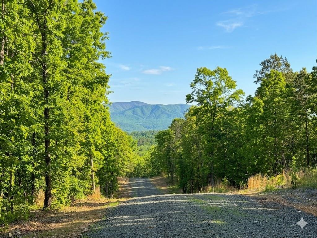 4 Vista Ridge Trail