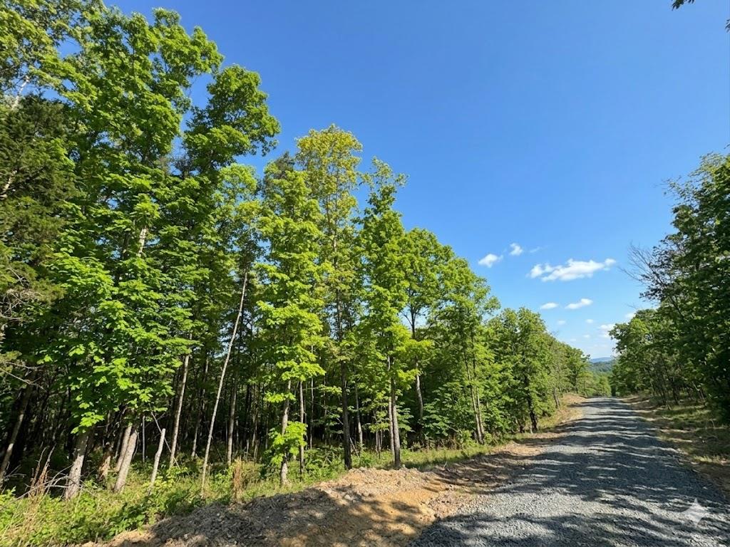 4 Vista Ridge Trail