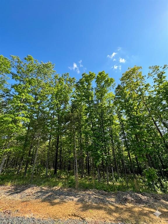 4 Vista Ridge Trail