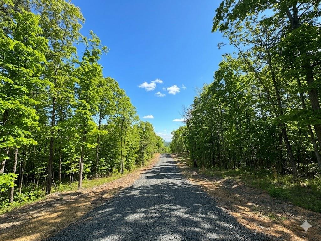 4 Vista Ridge Trail