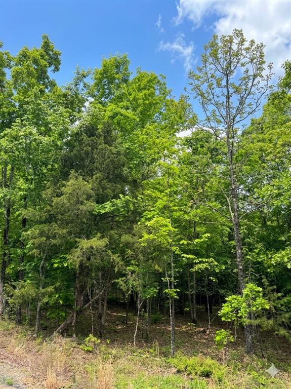 5 W Vista Ridge Trail