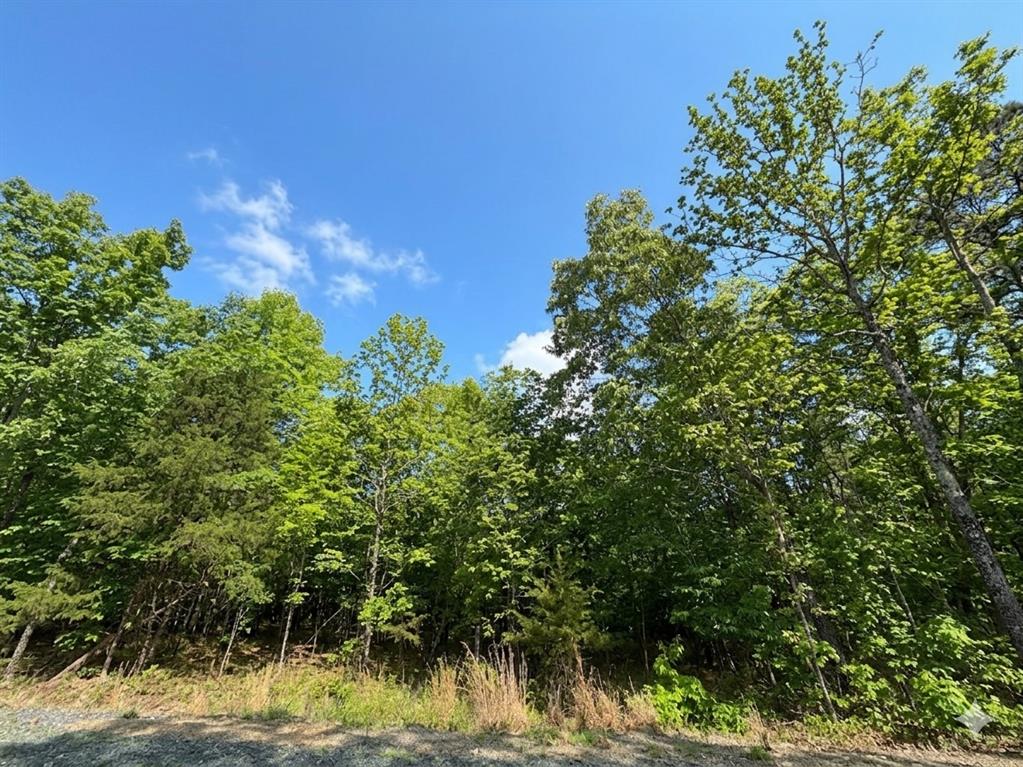 5 W Vista Ridge Trail