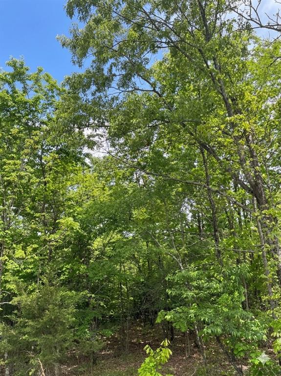 5 W Vista Ridge Trail