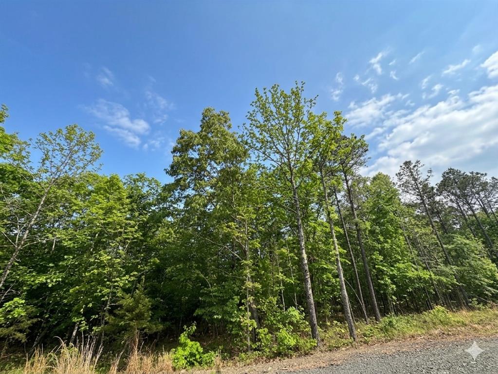 5 W Vista Ridge Trail