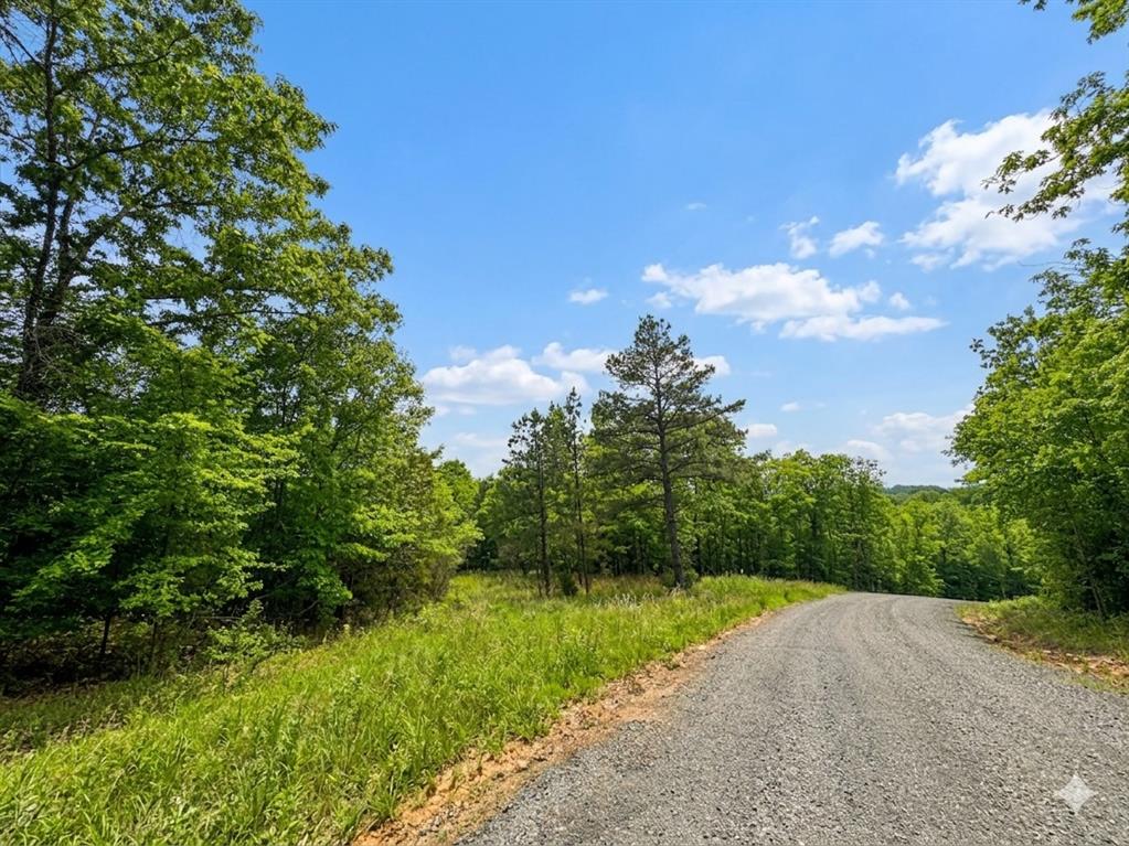 6 Vista Ridge Trail