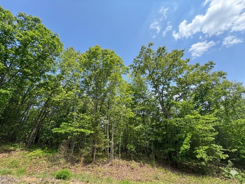 6 Vista Ridge Trail