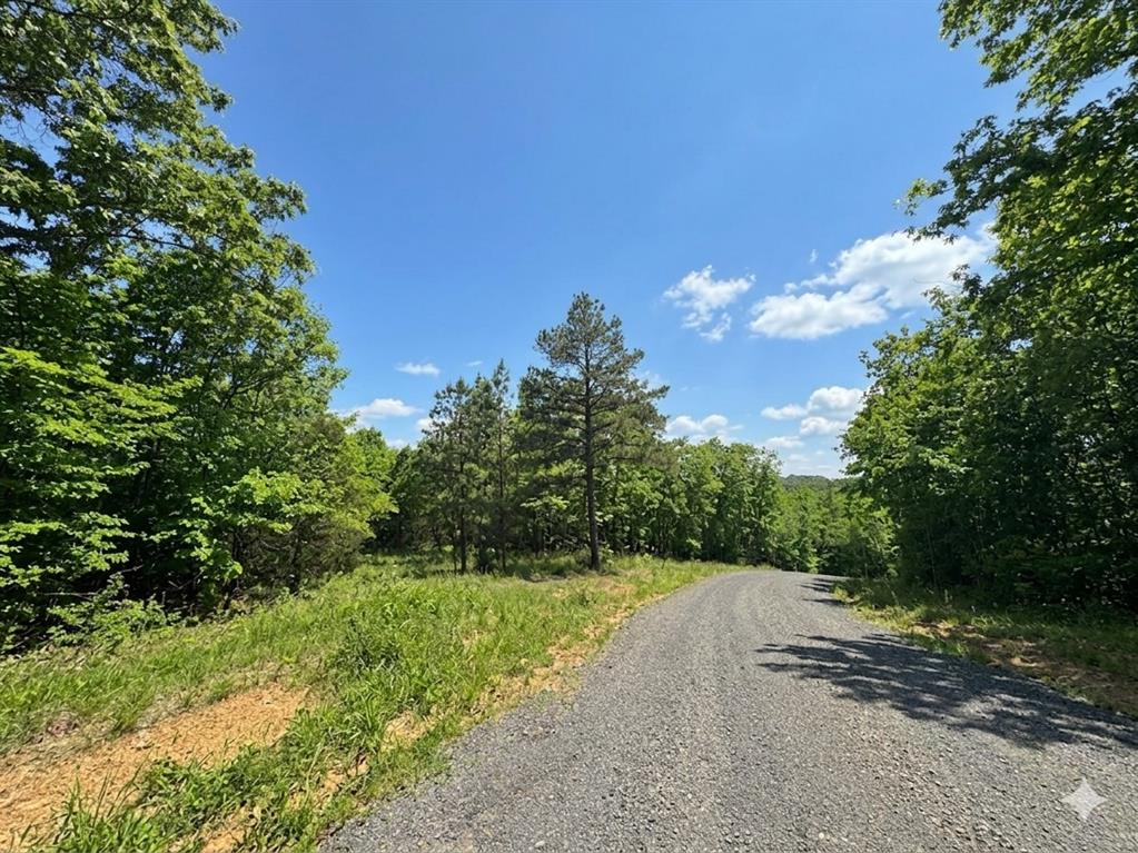 6 Vista Ridge Trail