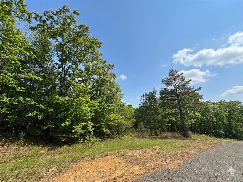 6 Vista Ridge Trail